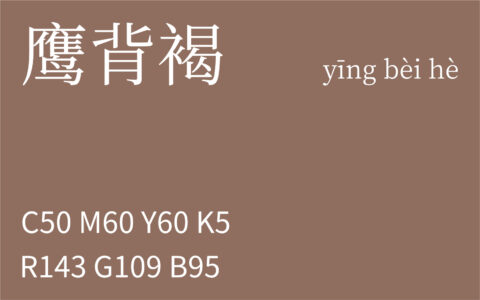 379.大寒 鹰背褐