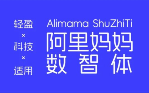 阿里妈妈数智体