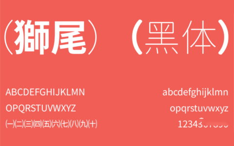 思源衍生体 - 狮尾黑体