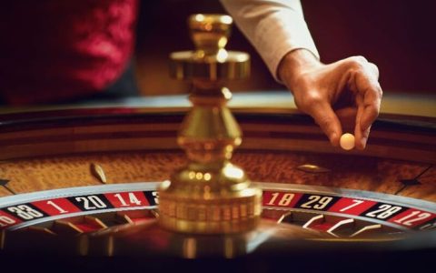 Igobet Casino Platform: Jouw Definitieve Wegwijzer omtrent Online Gok Entertainment
